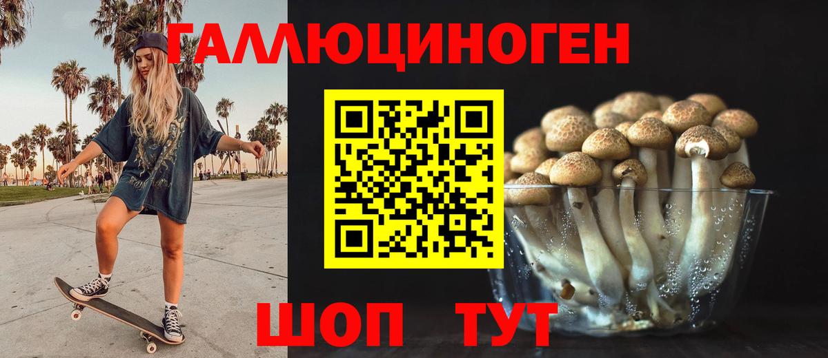 Псилоцибиновые грибы мухоморы  Псилоцибиновые грибы Psilocybe  магазин продажи наркотиков  Вход с VPN  Стерлитамак 